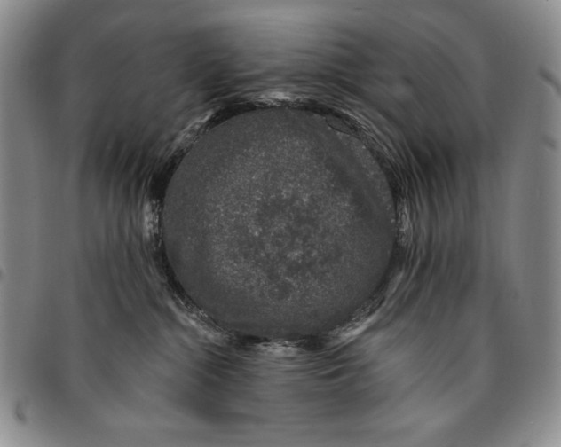 X0000094380284200711301407