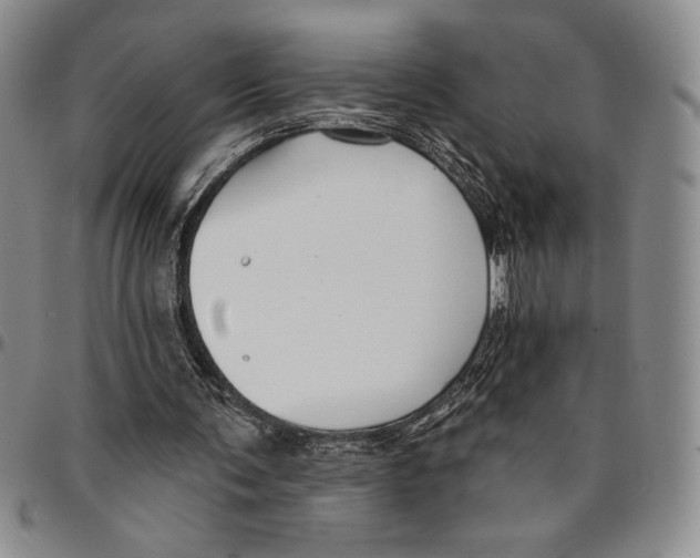 X0000094380291200711301406