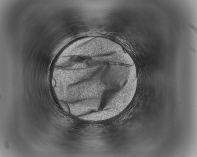X0000094380292200711301406