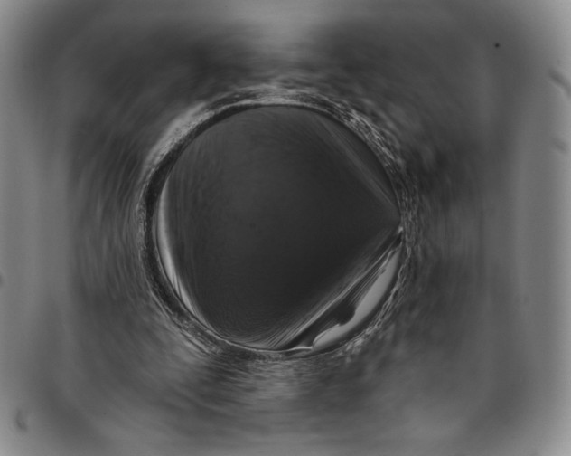 X0000094380295200711301406