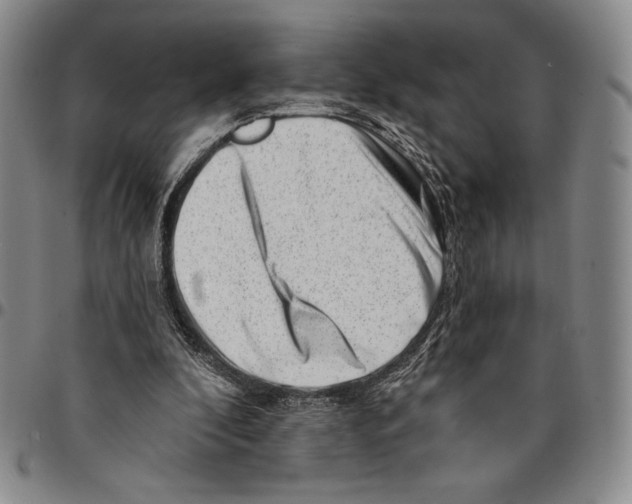 X0000094380296200711301406
