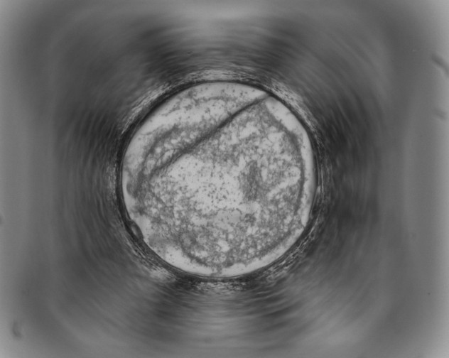 X0000094380297200711301406