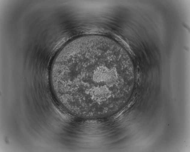 X0000094380298200711301406