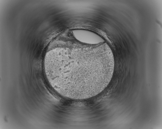X0000094380299200711301406
