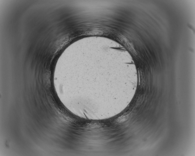X0000094380300200711301406