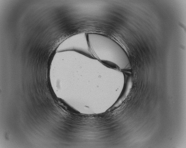 X0000094380301200711301406