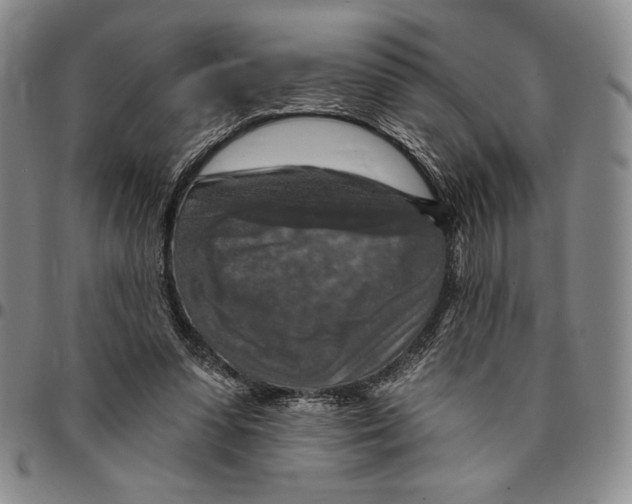 X0000094380303200711301406