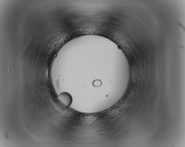 X0000094380310200711301406