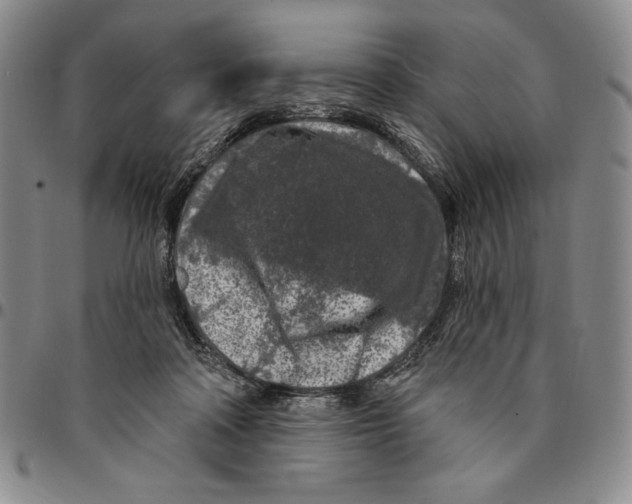 X0000094380314200711301406