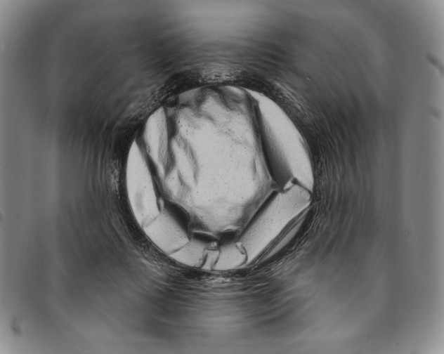 X0000094380315200711301406