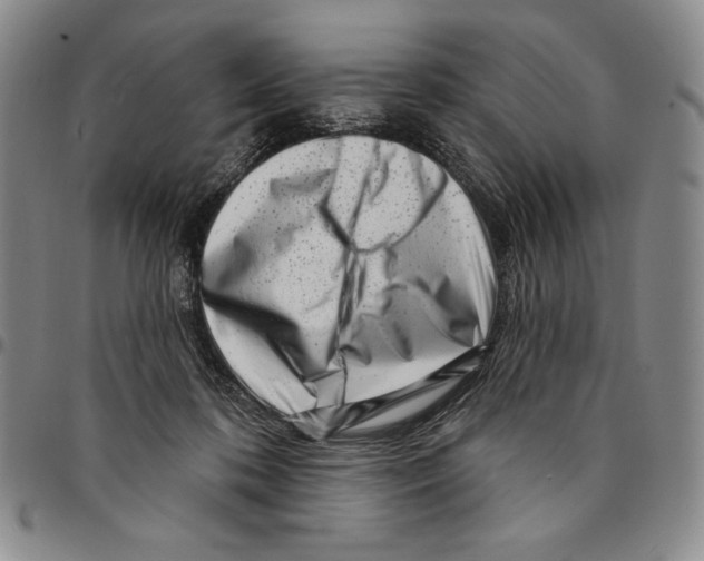 X0000094380316200711301406