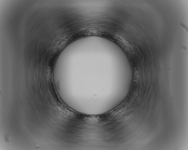 X0000094380318200711301406