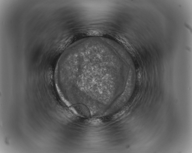 X0000094380322200711301406