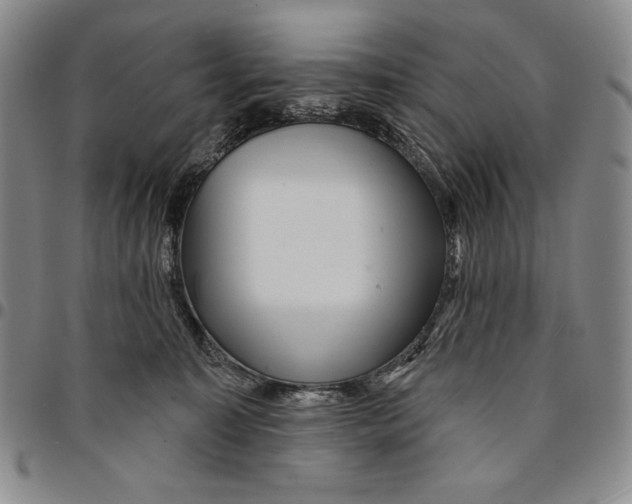 X0000094380323200711301406