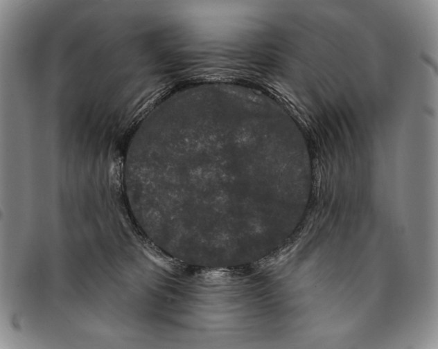 X0000094380325200711301406