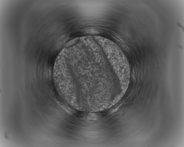 X0000094380330200711301406