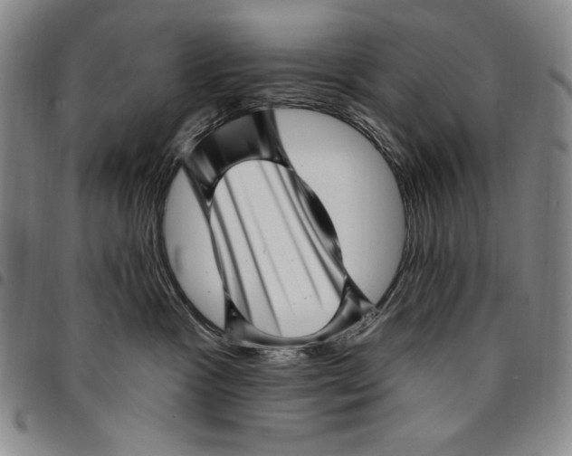 X0000094380333200711301406