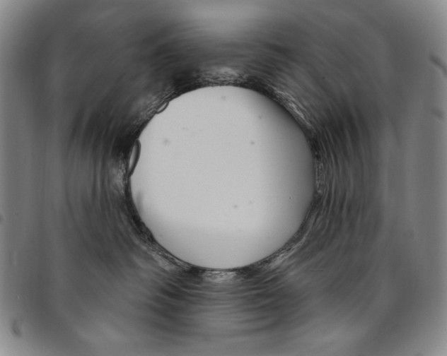 X0000094380334200711301406