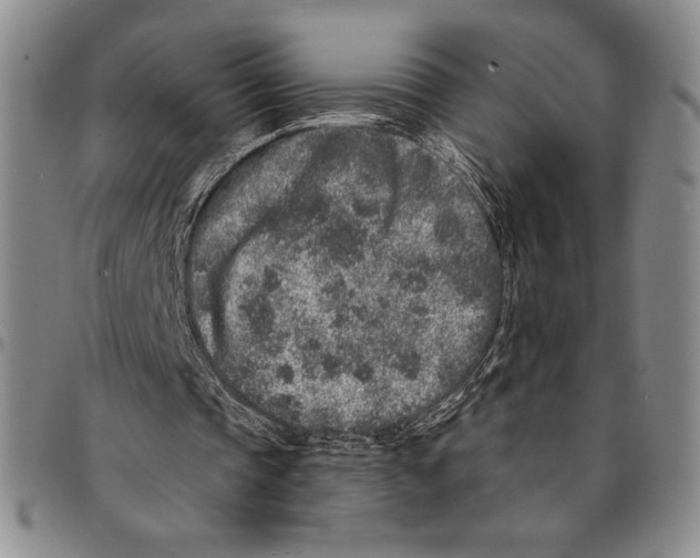 X0000094380337200711301405