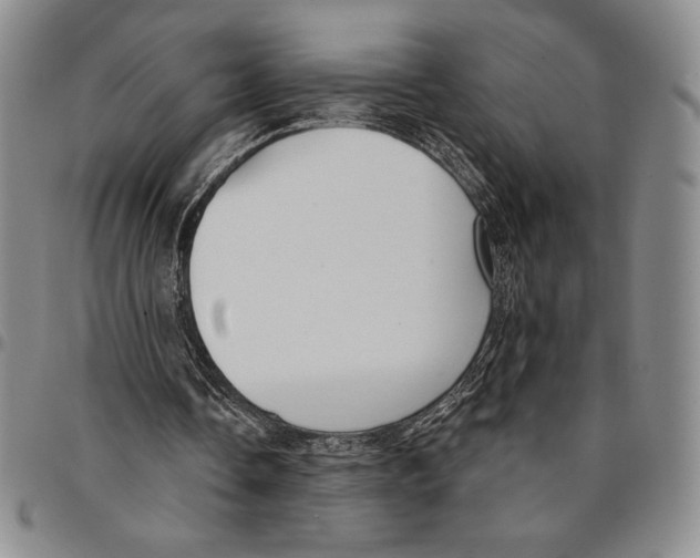 X0000094380338200711301405