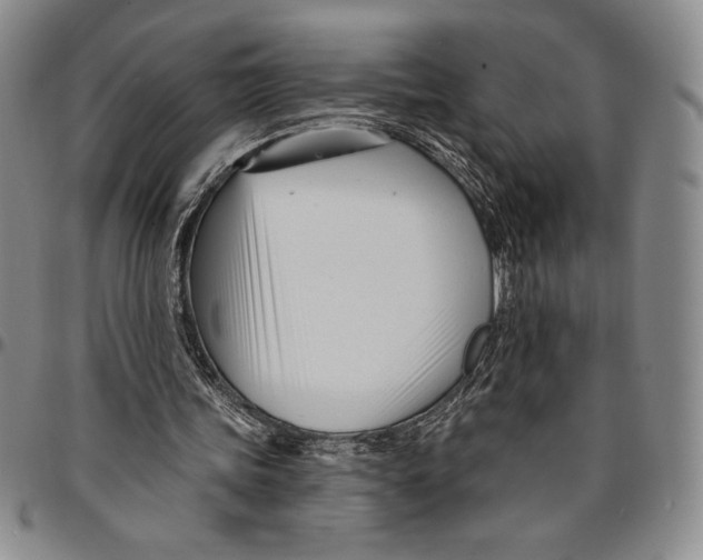 X0000094380339200711301405