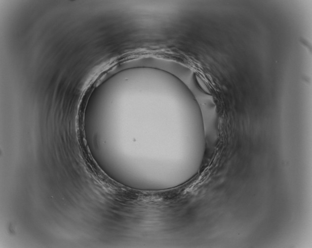 X0000094380340200711301405