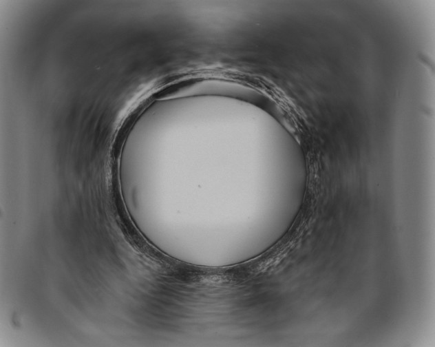 X0000094380344200711301405