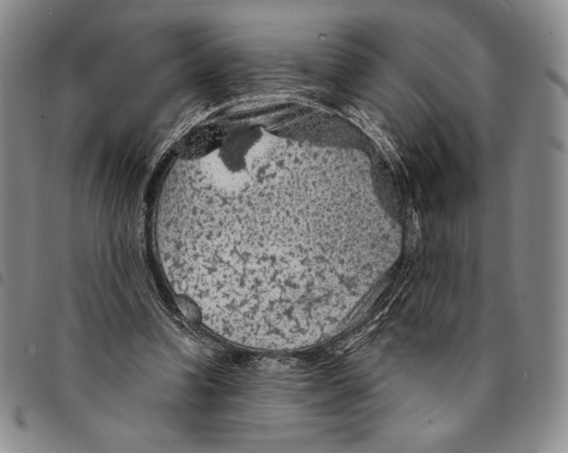 X0000094380346200711301405