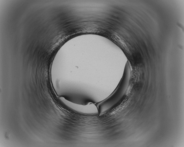 X0000094380348200711301405