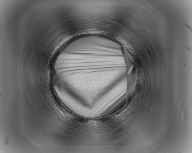X0000094380350200711301405