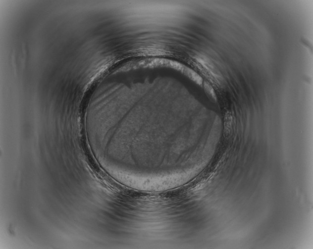 X0000094380351200711301405