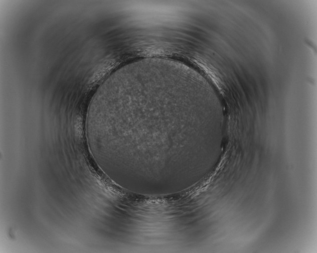 X0000094380353200711301405