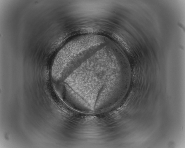 X0000094380355200711301405