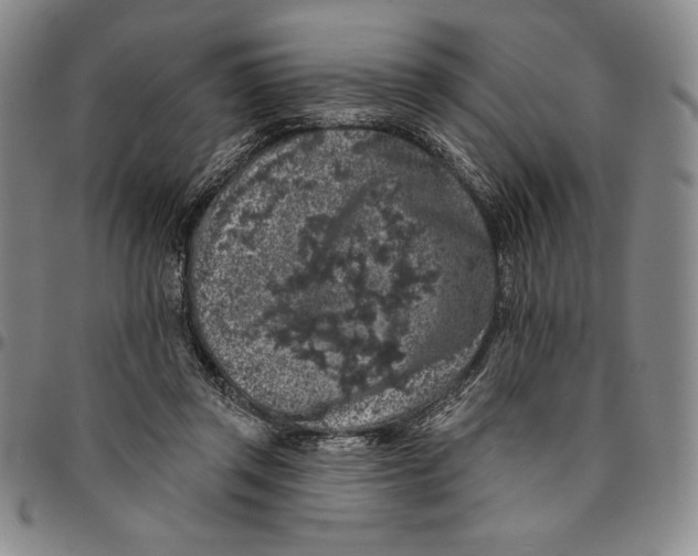 X0000094380357200711301405