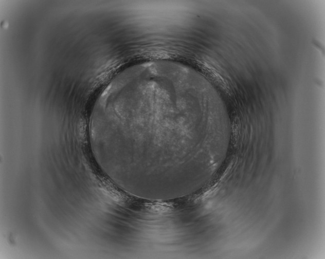X0000094380359200711301405