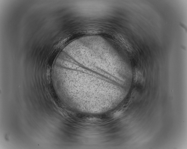 X0000094380360200711301405