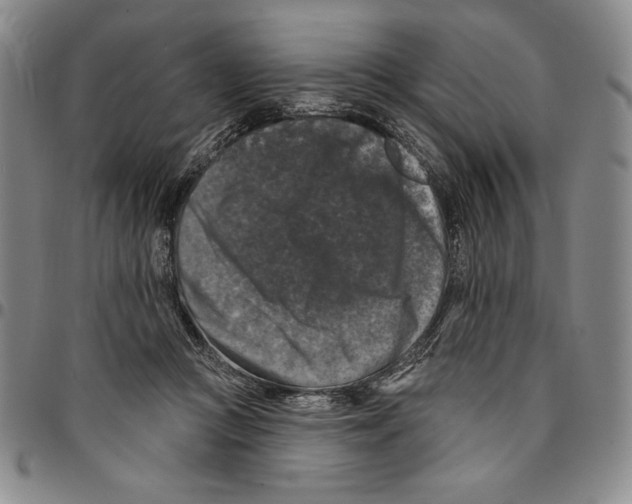 X0000094380361200711301406