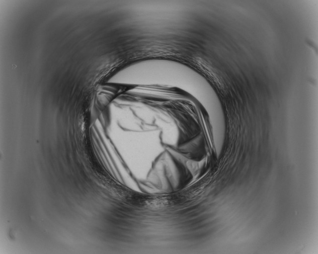 X0000094380362200711301406