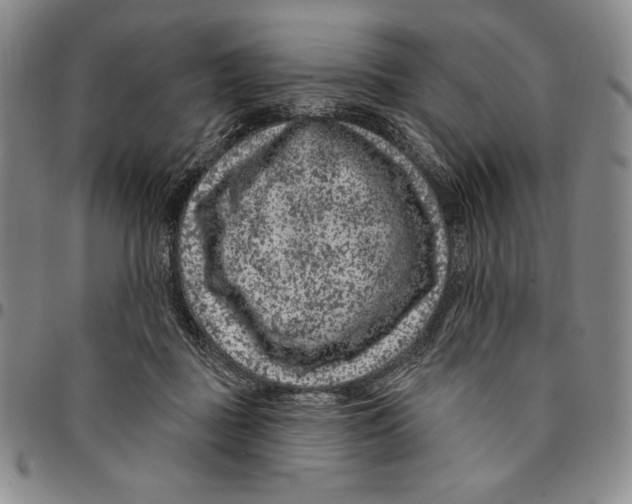 X0000094380363200711301406