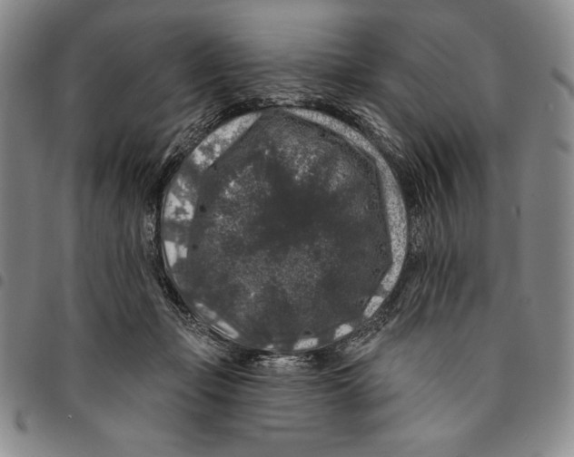 X0000094380365200711301406