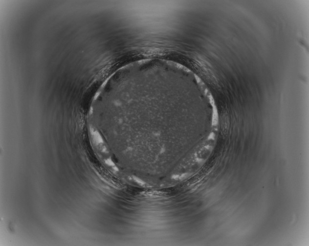X0000094380367200711301406