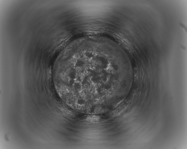 X0000094380369200711301406