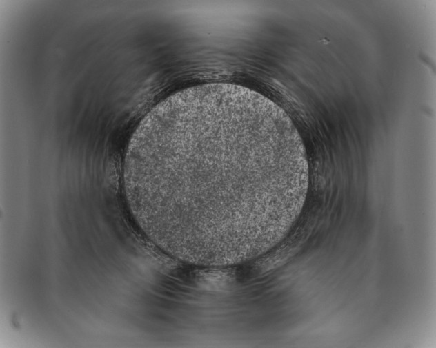 X0000094380370200711301406