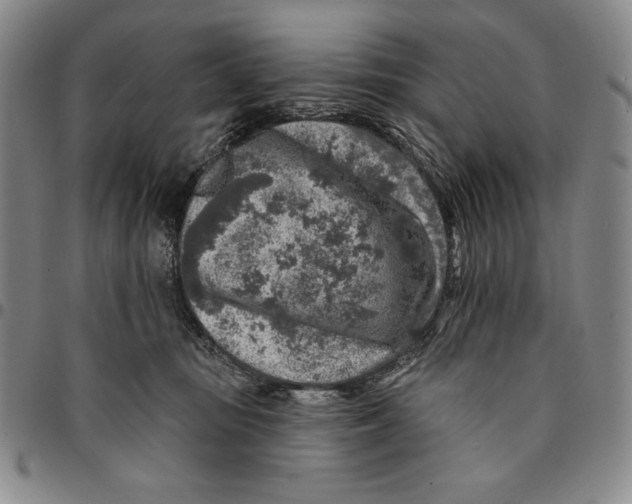 X0000094380371200711301406