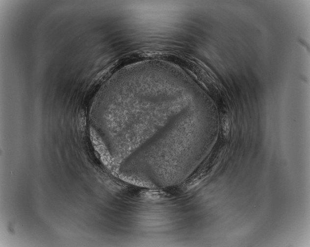 X0000094380372200711301406