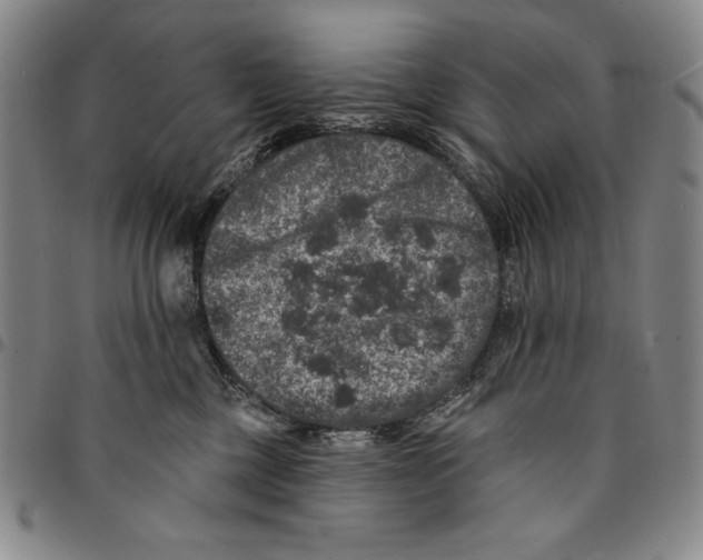 X0000094380377200711301406