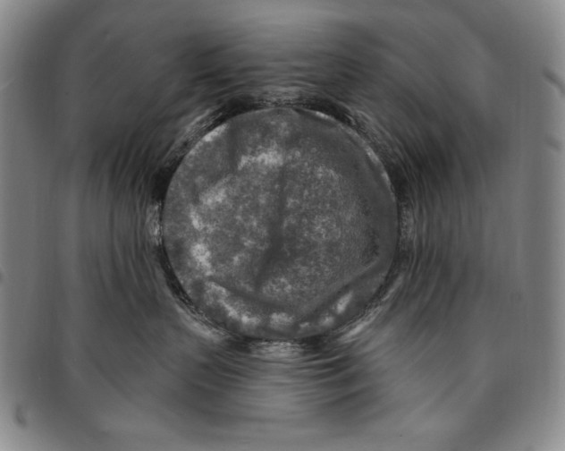 X0000094380383200711301406