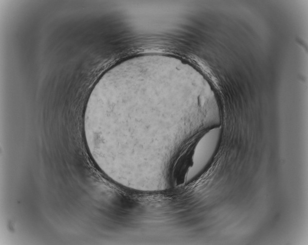 X0000094380385200711301405
