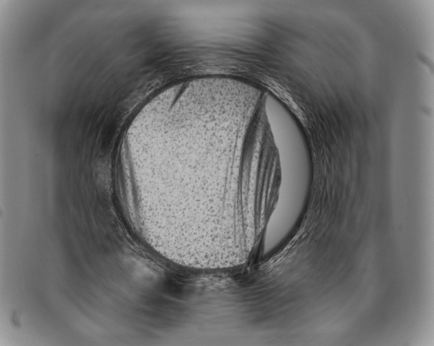 X0000094380386200711301405