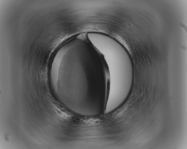 X0000094380387200711301405